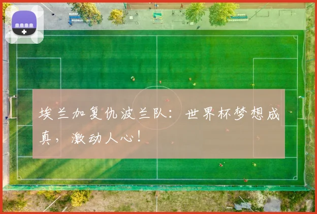 埃兰加复仇波兰队：世界杯梦想成真，激动人心！
